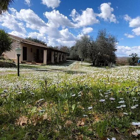 Agriturismo Bio Pian Dei Casali Saturnia Zewnętrze zdjęcie