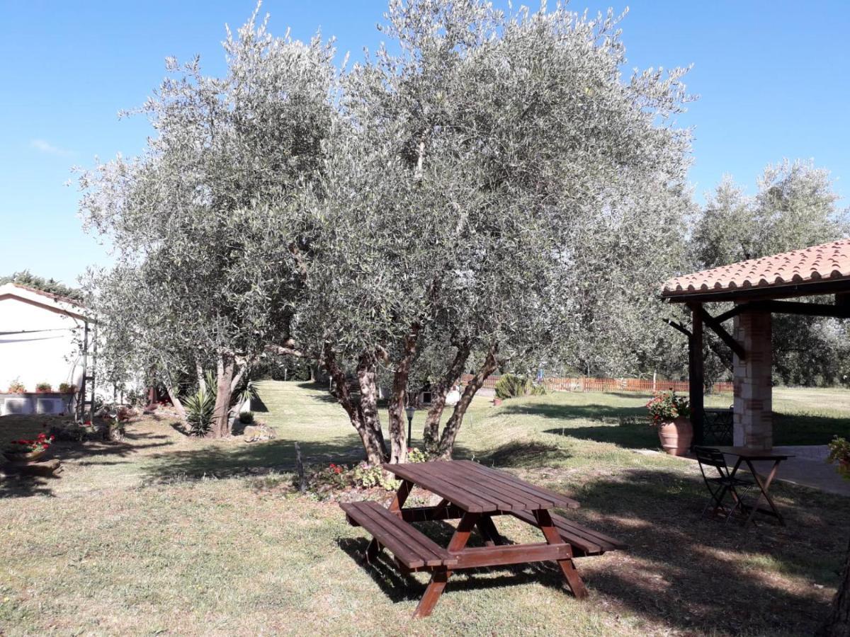Agriturismo Bio Pian Dei Casali Saturnia Zewnętrze zdjęcie