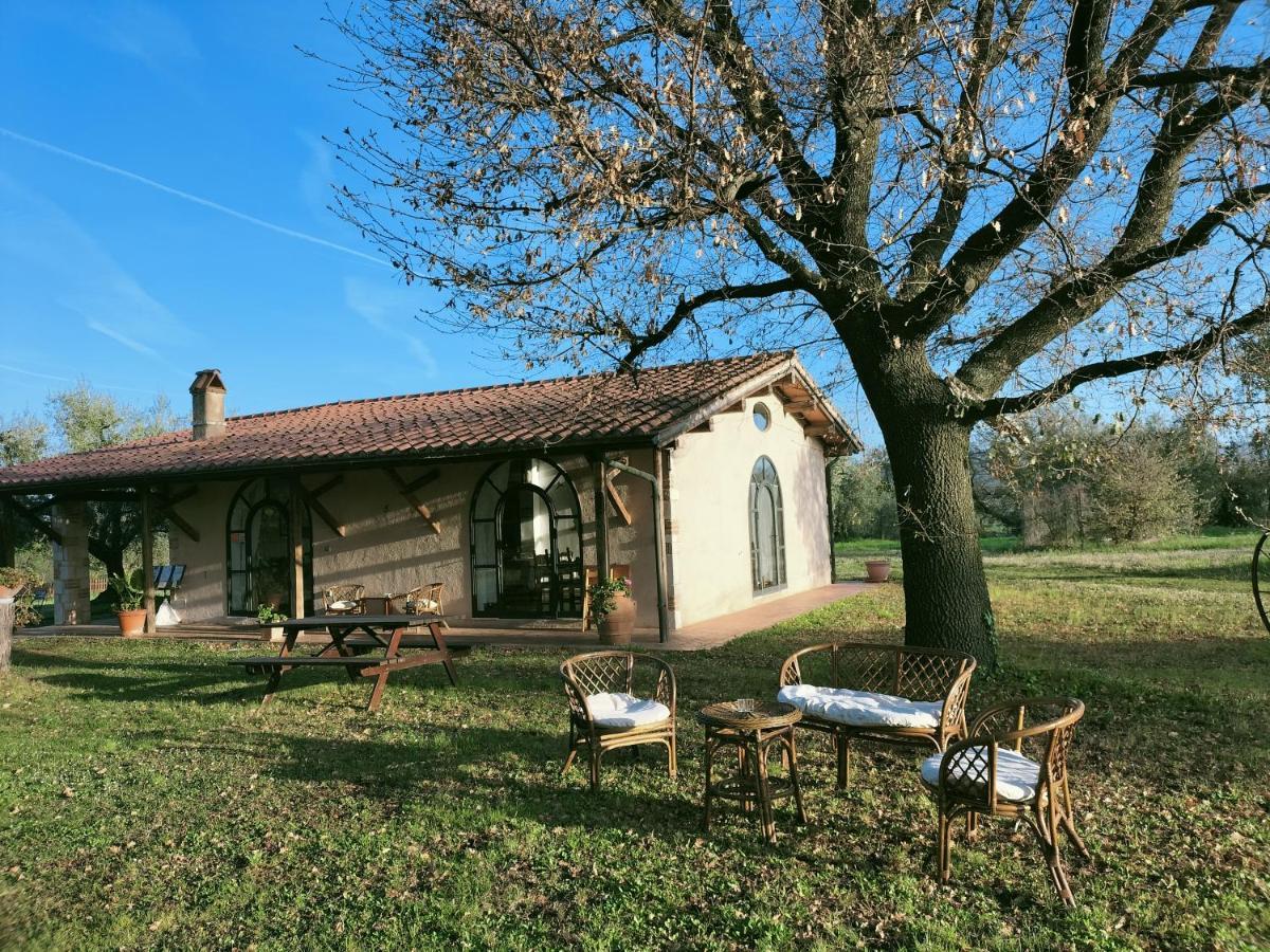 Agriturismo Bio Pian Dei Casali Saturnia Zewnętrze zdjęcie