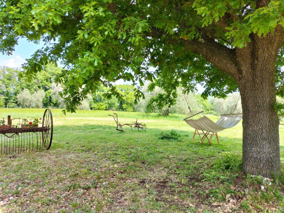 Agriturismo Bio Pian Dei Casali Saturnia Zewnętrze zdjęcie