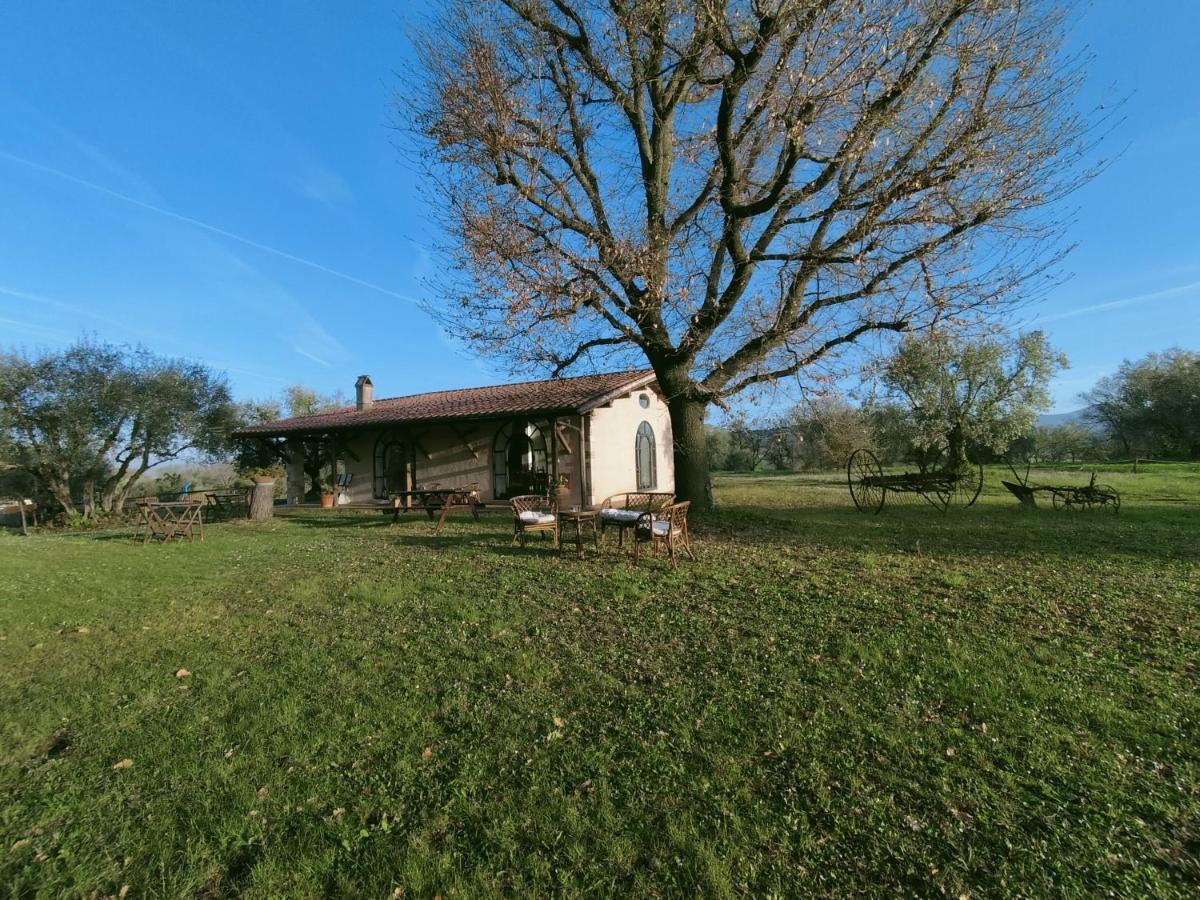 Agriturismo Bio Pian Dei Casali Saturnia Zewnętrze zdjęcie
