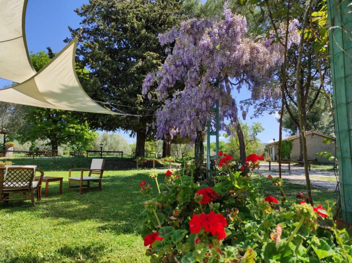 Agriturismo Bio Pian Dei Casali Saturnia Zewnętrze zdjęcie
