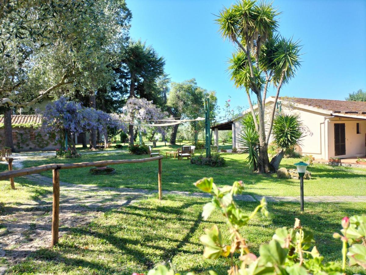 Agriturismo Bio Pian Dei Casali Saturnia Zewnętrze zdjęcie