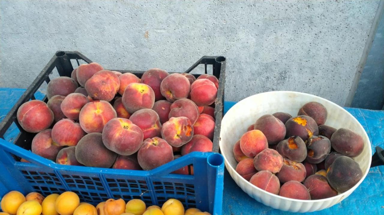 Agriturismo Bio Pian Dei Casali Saturnia Zewnętrze zdjęcie