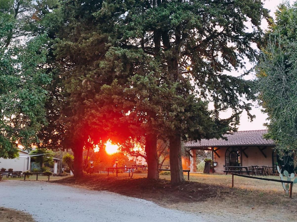 Agriturismo Bio Pian Dei Casali Saturnia Zewnętrze zdjęcie