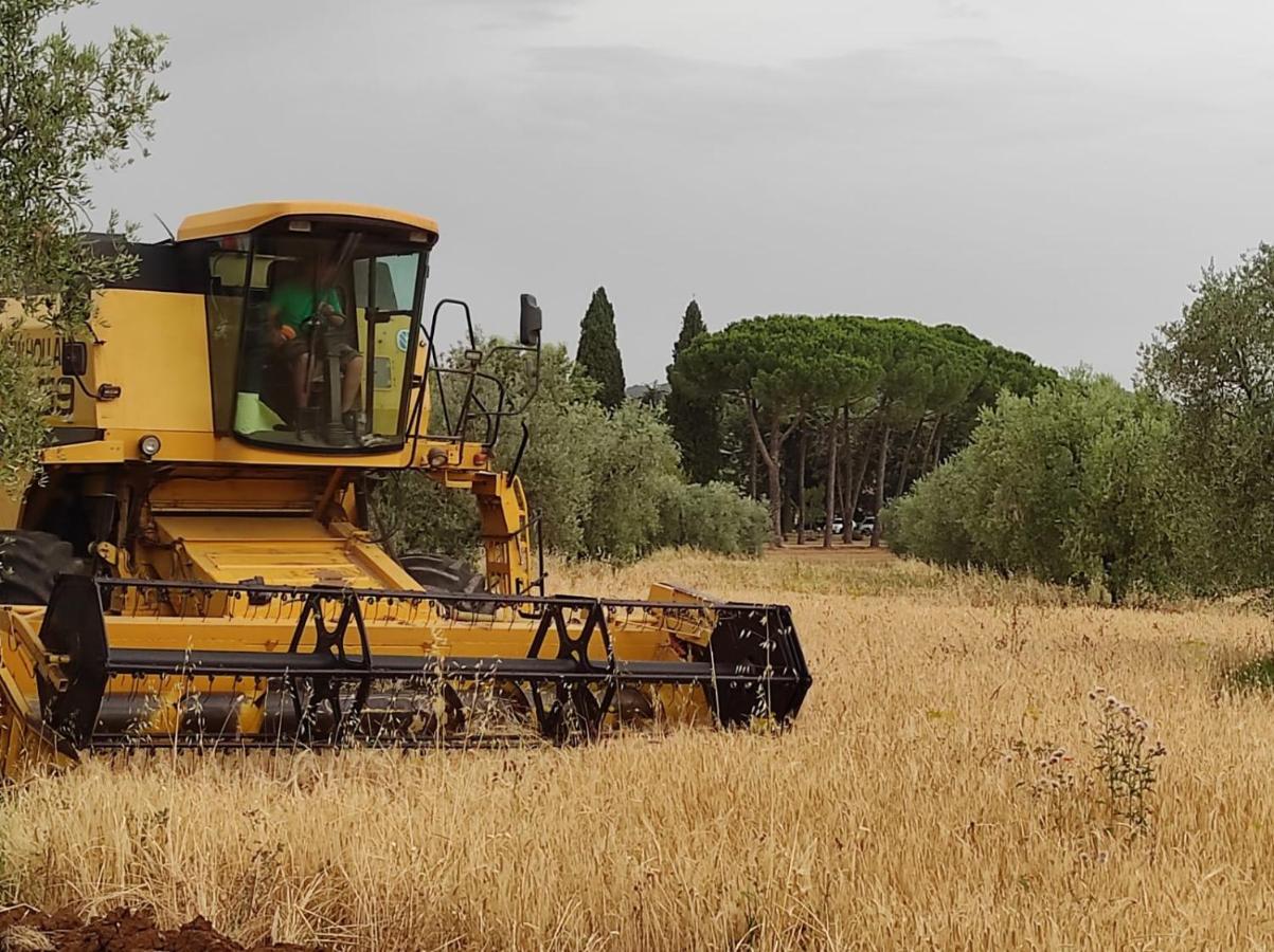 Agriturismo Bio Pian Dei Casali Saturnia Zewnętrze zdjęcie