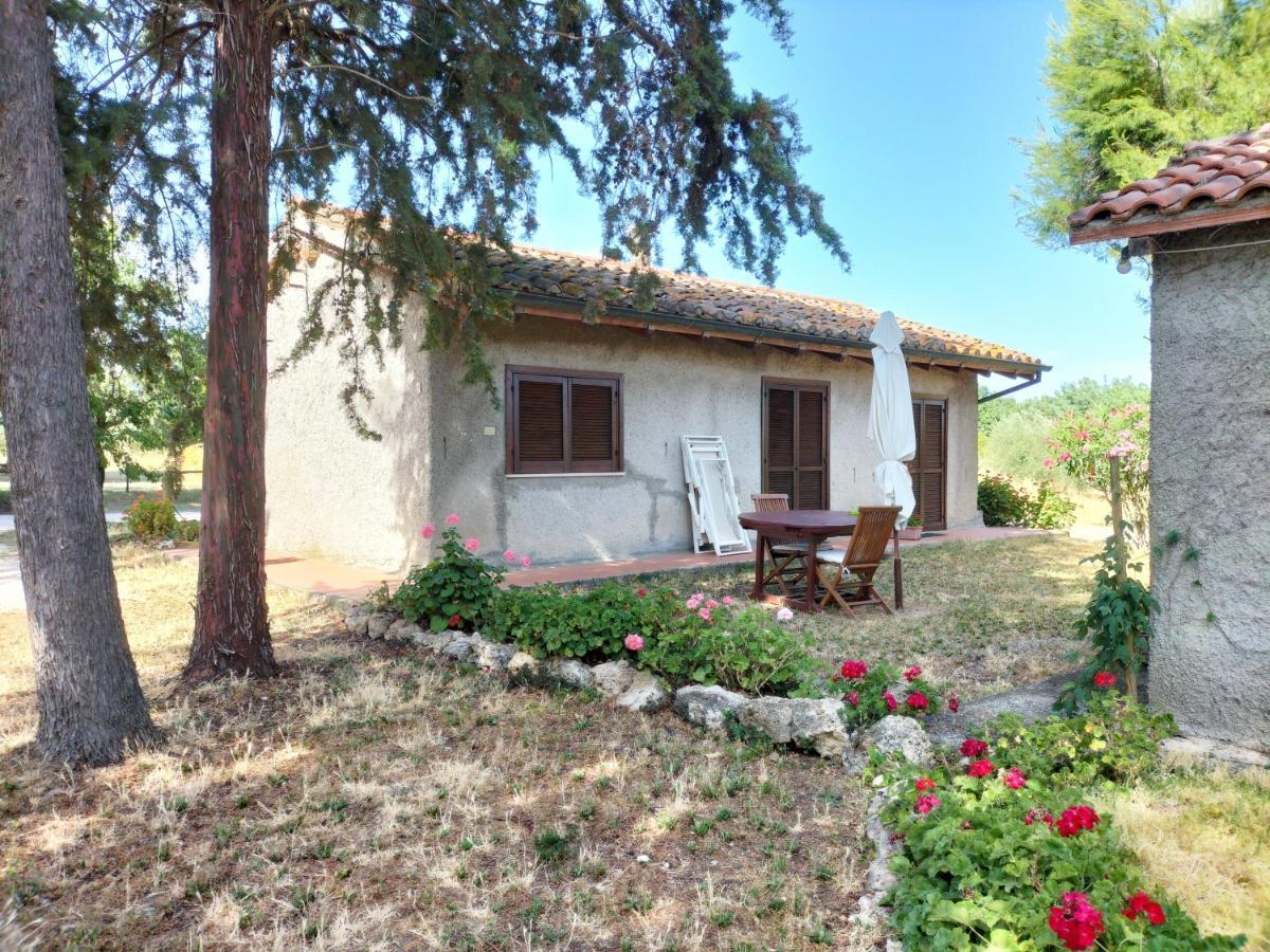 Agriturismo Bio Pian Dei Casali Saturnia Zewnętrze zdjęcie