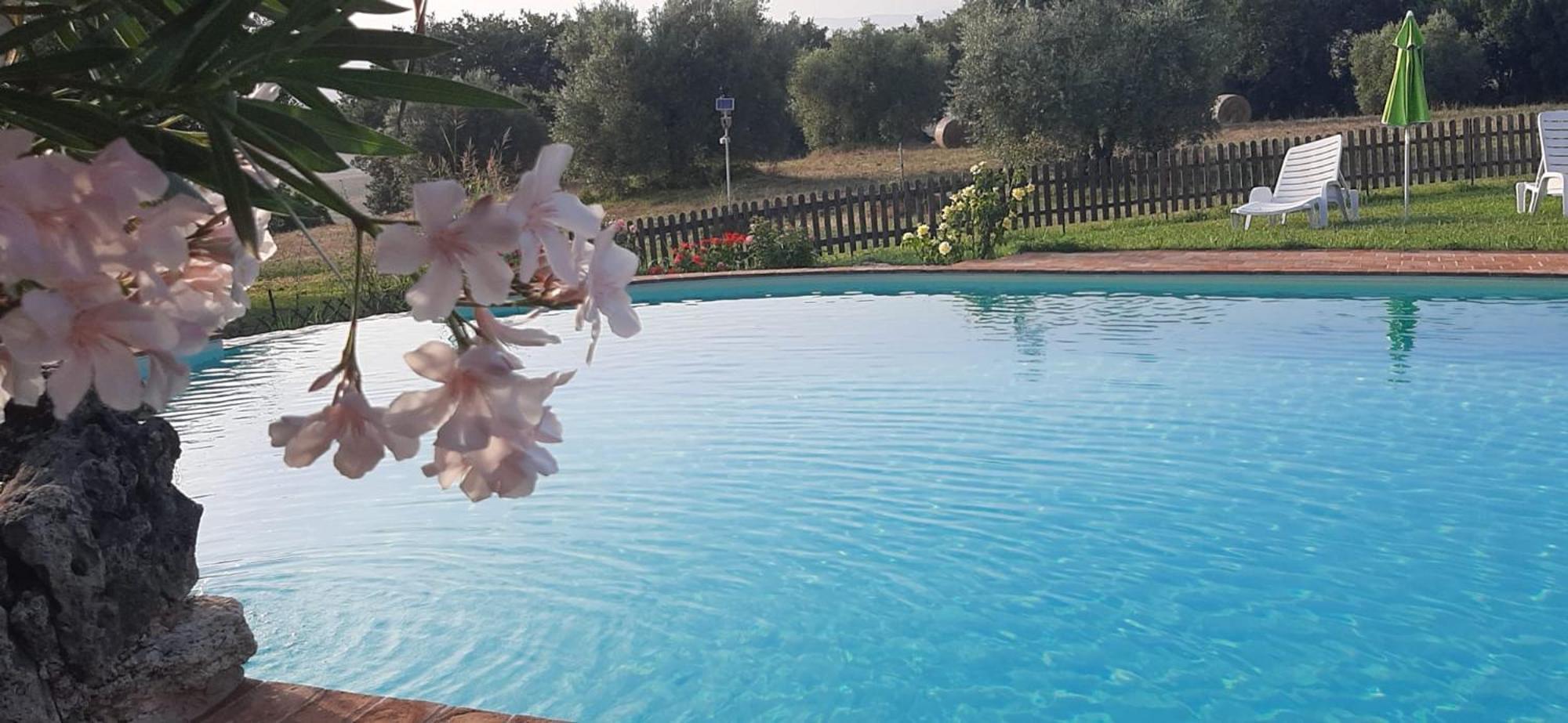 Agriturismo Bio Pian Dei Casali Saturnia Zewnętrze zdjęcie