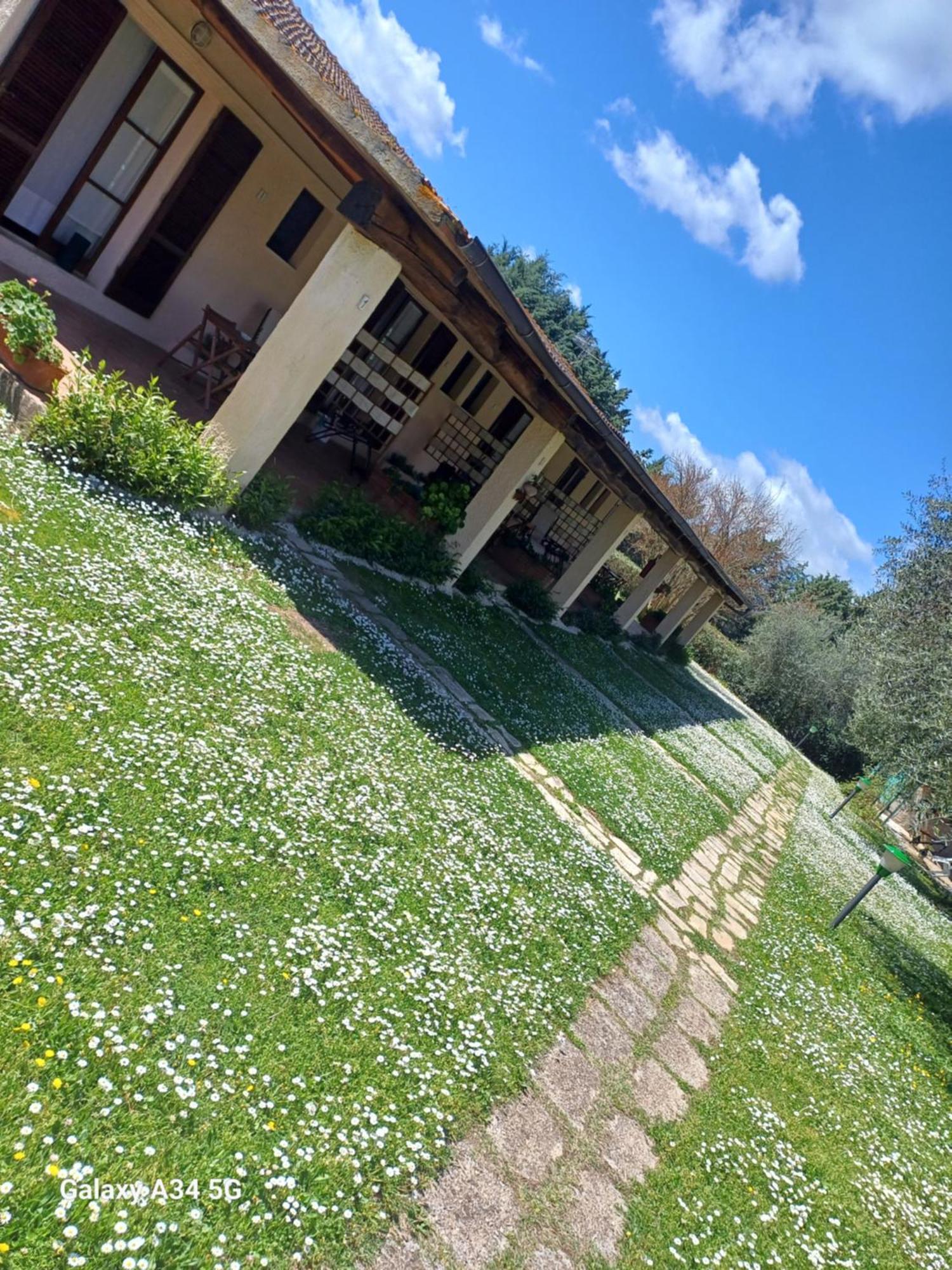 Agriturismo Bio Pian Dei Casali Saturnia Zewnętrze zdjęcie