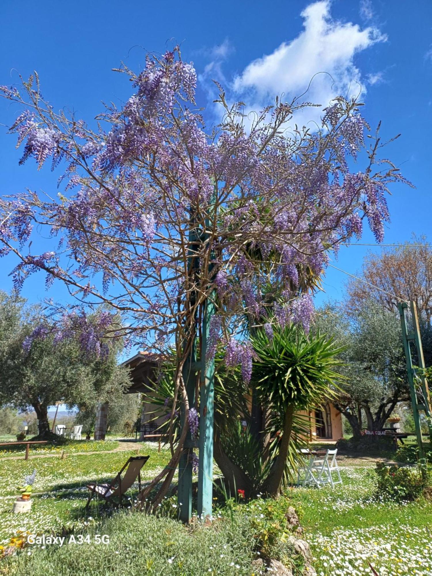 Agriturismo Bio Pian Dei Casali Saturnia Zewnętrze zdjęcie