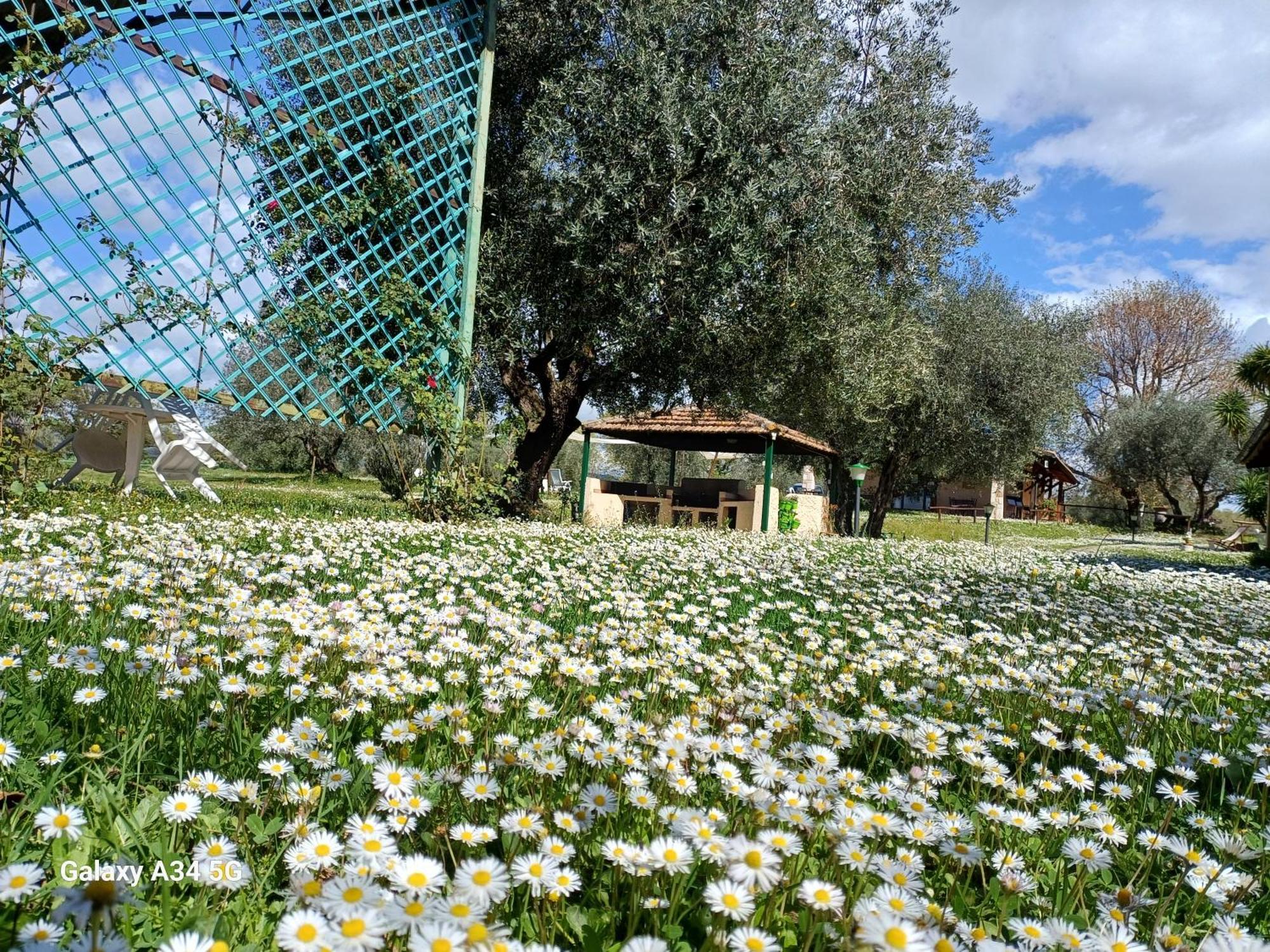 Agriturismo Bio Pian Dei Casali Saturnia Zewnętrze zdjęcie