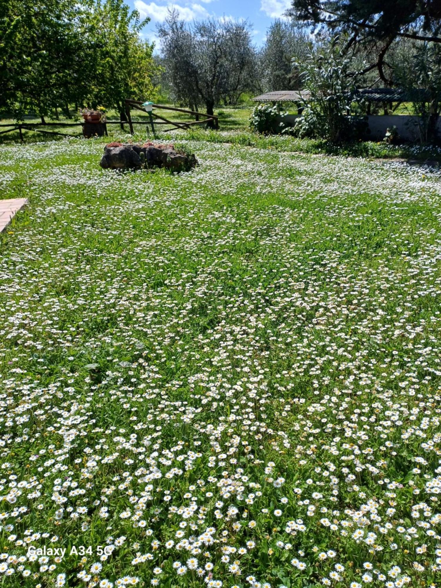Agriturismo Bio Pian Dei Casali Saturnia Zewnętrze zdjęcie