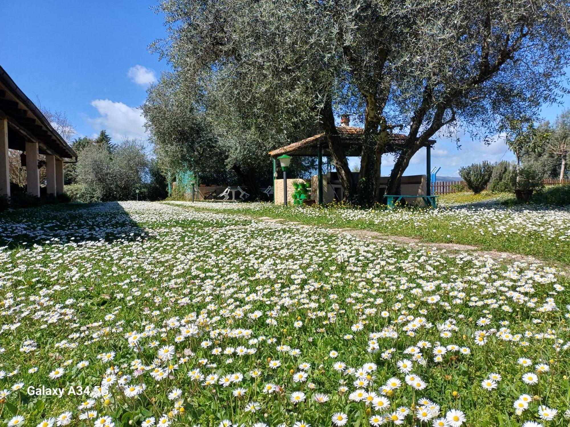 Agriturismo Bio Pian Dei Casali Saturnia Zewnętrze zdjęcie