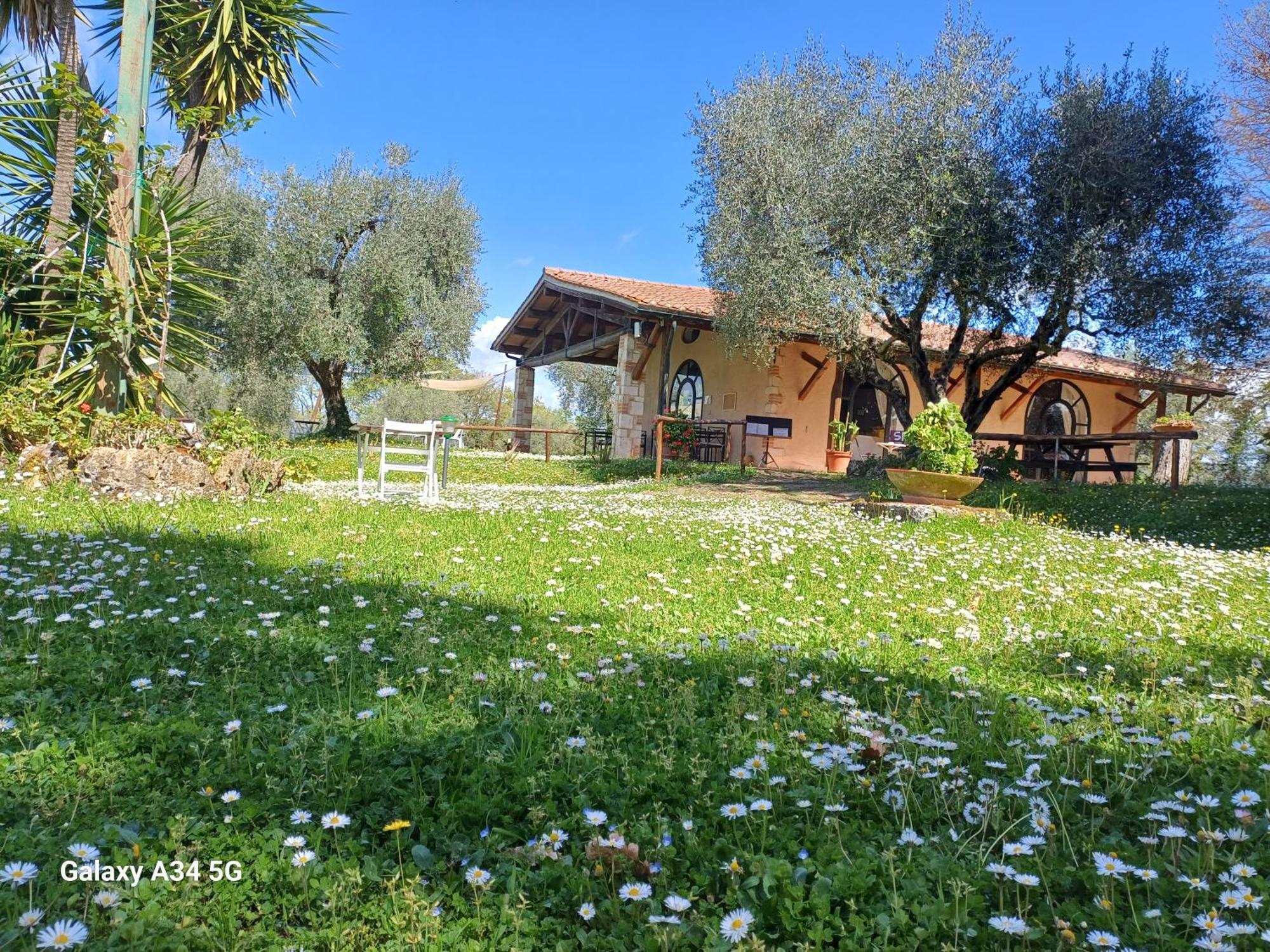 Agriturismo Bio Pian Dei Casali Saturnia Zewnętrze zdjęcie