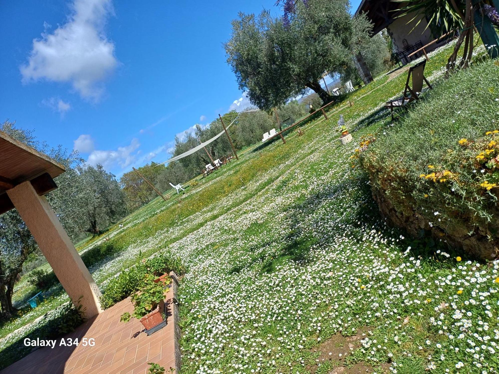 Agriturismo Bio Pian Dei Casali Saturnia Zewnętrze zdjęcie