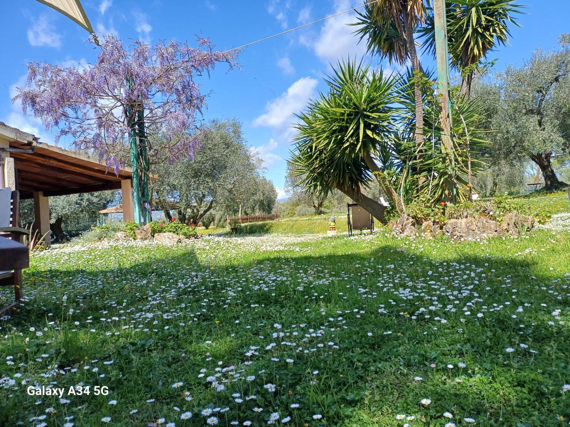 Agriturismo Bio Pian Dei Casali Saturnia Zewnętrze zdjęcie