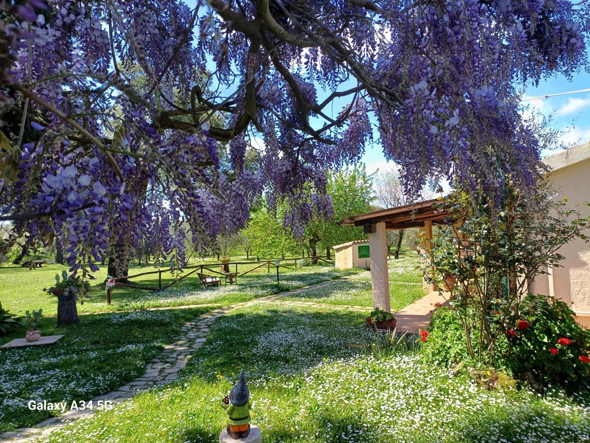 Agriturismo Bio Pian Dei Casali Saturnia Zewnętrze zdjęcie