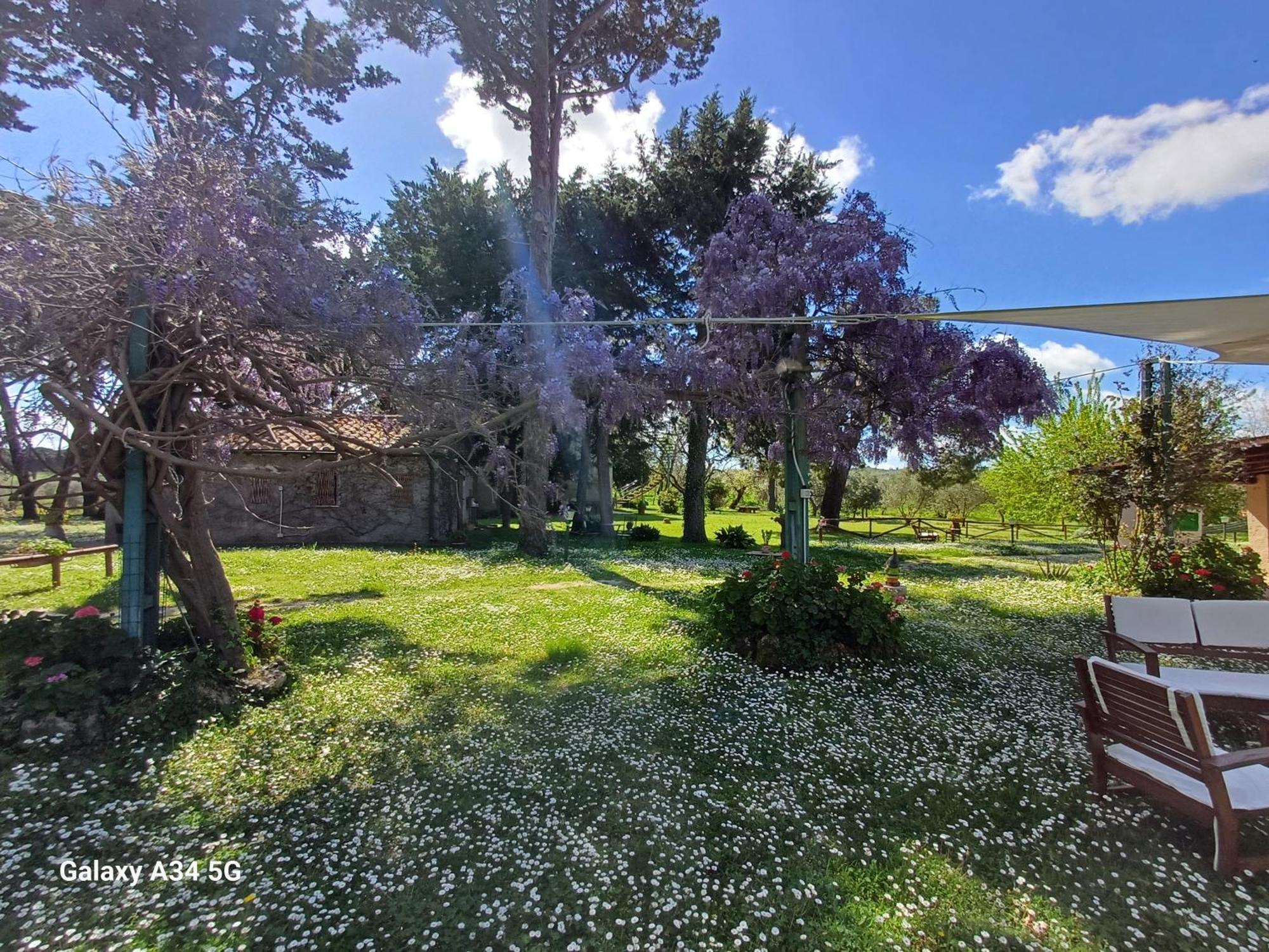Agriturismo Bio Pian Dei Casali Saturnia Zewnętrze zdjęcie
