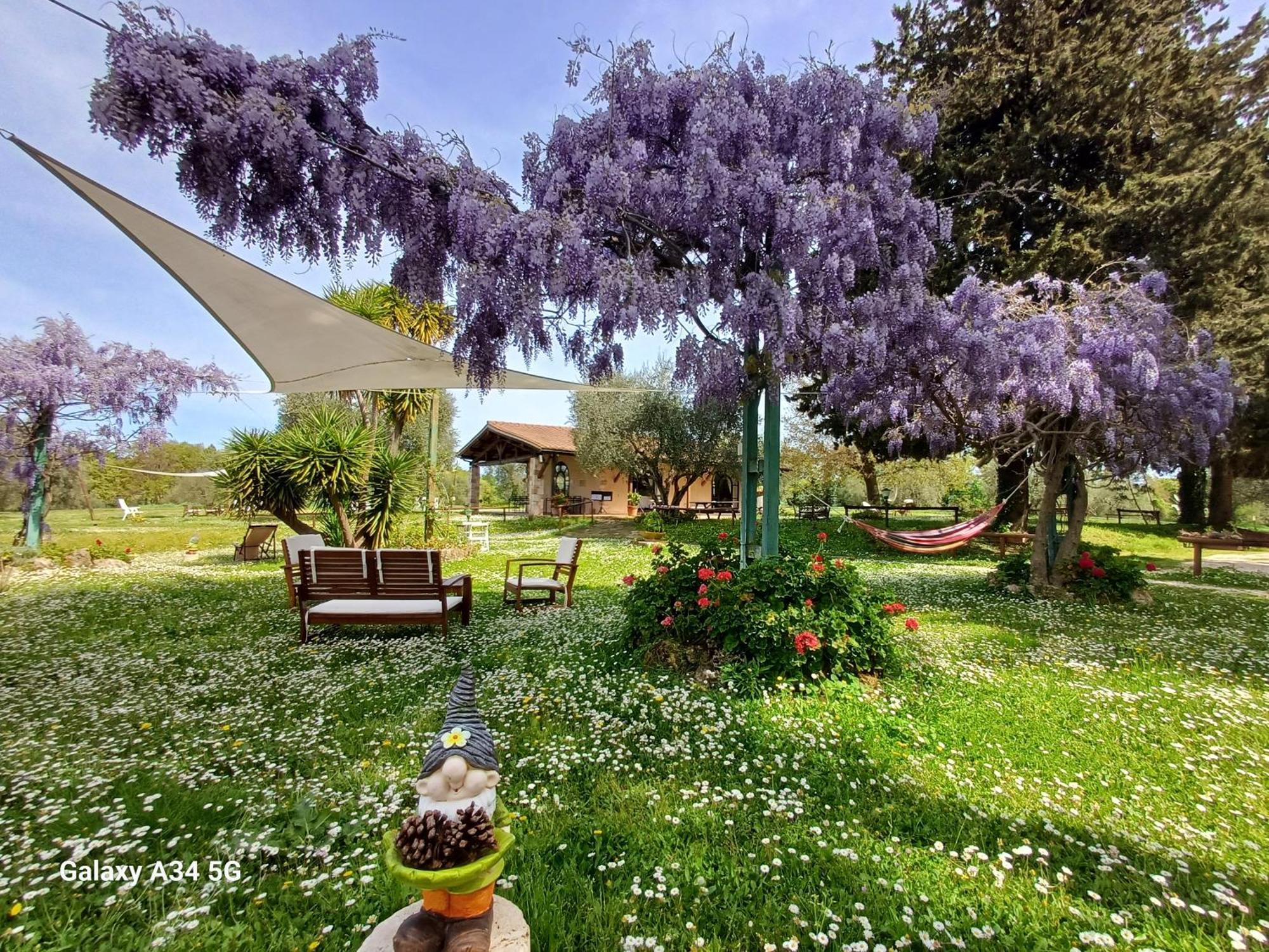 Agriturismo Bio Pian Dei Casali Saturnia Zewnętrze zdjęcie